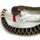 Bild von Klapperschlange 100cm Schlange mit Rassel Plüschschlange Plüschtier REJAS