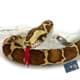 Bild von Tigerpython 100cm Kuscheltier Schlange Python Plüschschlange Plüschtier NADZL