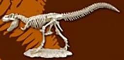 Bild von Ausgrabungsset T-Rex Dinosaurier Skelett Tyrannosaurus 
