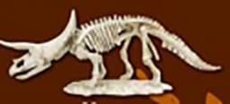 Bild von Ausgrabungsset Triceratops Dinosaurier Skelett 