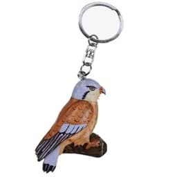 Bild von Buntfalke Vogel Raubvogel Schlüsselanhänger Taschenanhänger aus Holz 