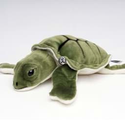 Bild für Kategorie Schildkröten