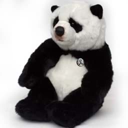 Bild für Kategorie Pandas