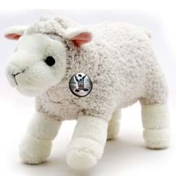 Bild für Kategorie Schafe