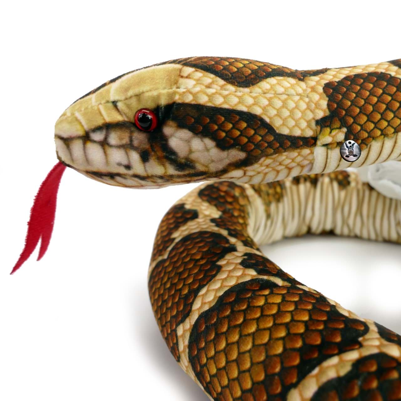 Bild für Kategorie Schlangen