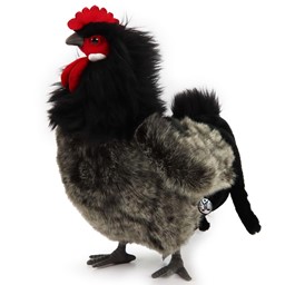 Bild von Hahn schwarz PREMIUM Plüschtier Augsburger Huhn Vogel Dekotier ALMUT