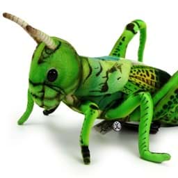 Bild von Grashüpfer PREMIUM Insekten Heuschrecke Heupferdchen grün Plüschtier Dekotier HORTI
